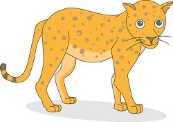 baby leopard 446