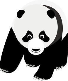 baby panda bear on all fours clipart