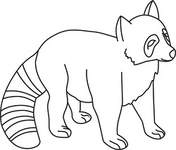 baby raccoon black outline clipart