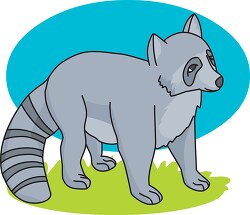 baby raccoon blue background clipart