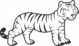 baby-bengal-tiger-black white outline gray color 2A