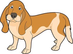basset hound dog clipart