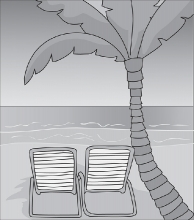 beach palm trees ocean gray