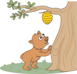 bear looking for honey on tree