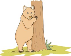 bear standing upright near tree