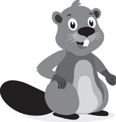 beaver animal sitting on hind legs vector gray color 2