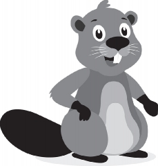 beaver animal sitting on hind legs vector gray color