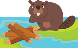 beaver making a dam clipart image