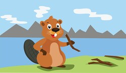 beaver sitting on river edge holding twig vector clipart