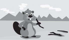 beaver sitting on river edge holding twig vector gray color