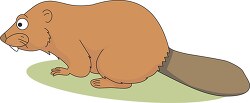 beavers side view clipart