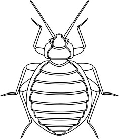 bed bug insect black white outline clipart 818