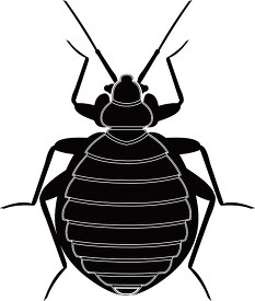bed bug insect black white silhoutte clipart 818