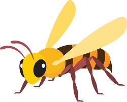 bee insect clipart illustration