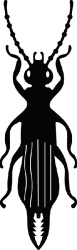 beetle insect silhouette clipart 11