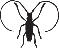 beetle silhouette insect clipart