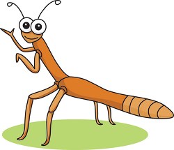 big eyed stick insect clipart