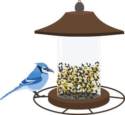 bird feeder with blue jay clipart 2