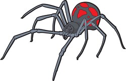 black  widow spider 413a