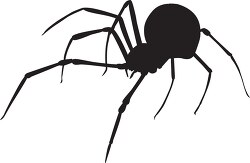 black  widow spider clipart