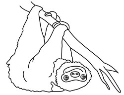 black outline animal clipart sloth 54