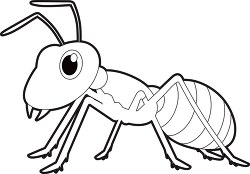 black white outline clipart cartoon style insect ant