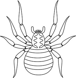 black white outline clipart of brown spider 718