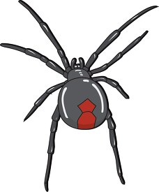 black widow spider 730