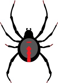 black widow spider arachnid clipart