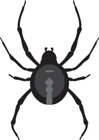 black widow spider insect gray clipart 818