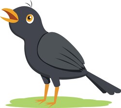 blackbird singing clipart