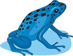 blue poison dart frog clipart