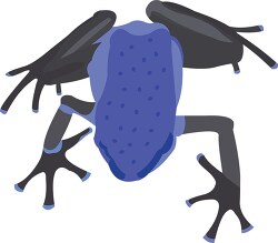 blue spotted frog clipart