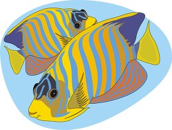 brightly colored fish 26