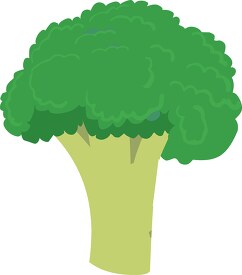 brocholli-cartoon-vegetable