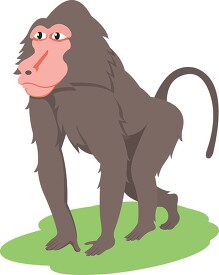 brown baboon clipart