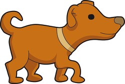 brown dog 114