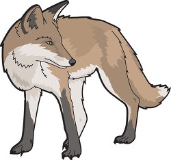 brown fox animal clipart