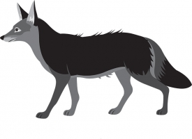 brown german sheppard dog gray color