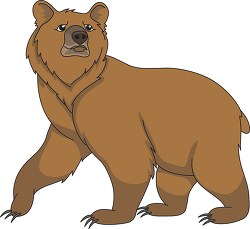 brown grizzly bear clipart