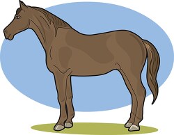 Brown Horse Clipart
