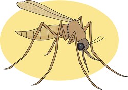 brown mosquito clipart