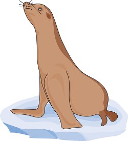 brown seal clipart