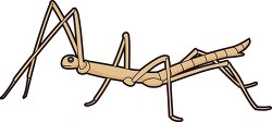 brown stick insect clipart