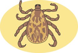 brown tick clipart
