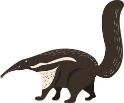 brown white anteater vector illustration