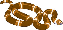 brown white snake clipart