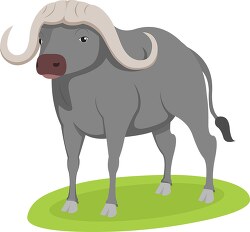 buffalo clipart