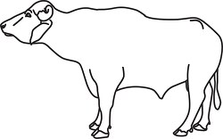 buffalo male sideview black outline clipart