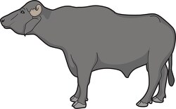 buffalo male sideview clipart